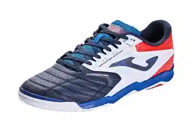 JOMA ICIN