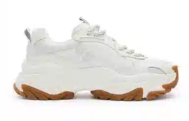 Champion Retro Sports