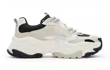 Champion Retro Sports