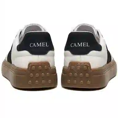 CAMEL