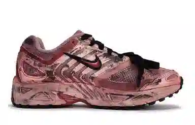 Nike Air Pegasus 2K5