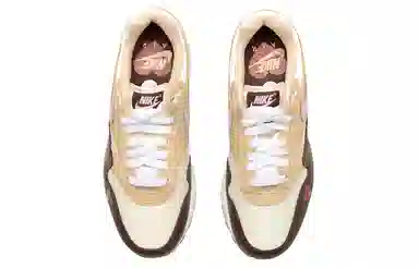 Nike Air Max 1