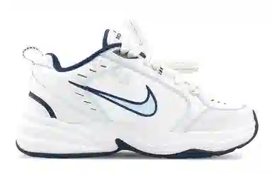 Nike Air Monarch 4
