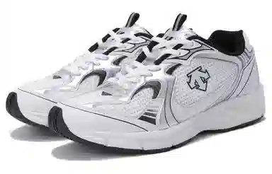 DESCENTE