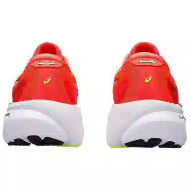 Asics Gel-Kayano 30