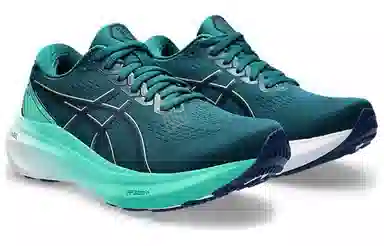 Asics Gel-Kayano 30