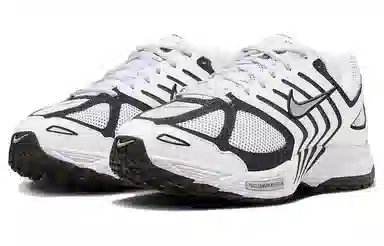 Nike Air Pegasus 2005