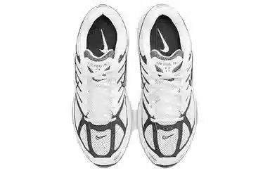 Nike Air Pegasus 2005