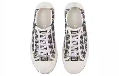 DIOR Walk'n'Dior Oblique