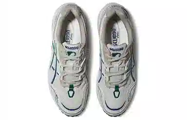 Asics Gel-1090 V1