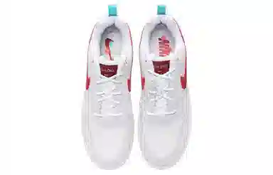 Nike Court Borough Low PREM Beige