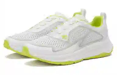 DESCENTE WT-