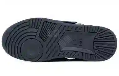 Ocai Form 4.0 Black Warrior