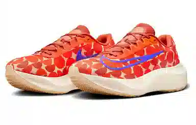 Nike Zoom Fly 5