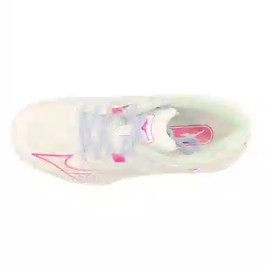 Mizuno