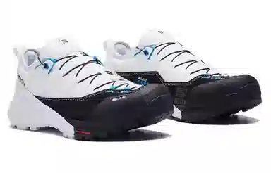 Salomon S/LAB ALPINWAY White