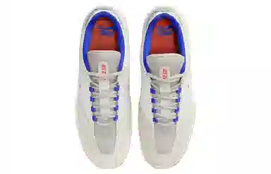 Nike Sb Vertebrae