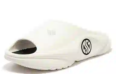 361 AG2