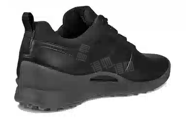 ecco BIOM HYBRID 1 BNY