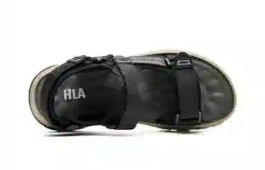 HLA 2024