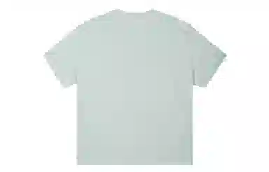 ICONS Lab ICS T