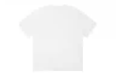 ICONS Lab ICS T