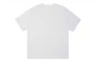 ICONS Lab ICS T
