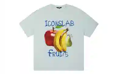 ICONS Lab ICS T