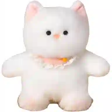 20cm