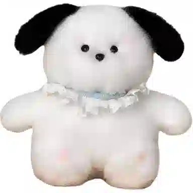 20cm