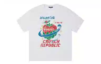 ICONS Lab ICS T