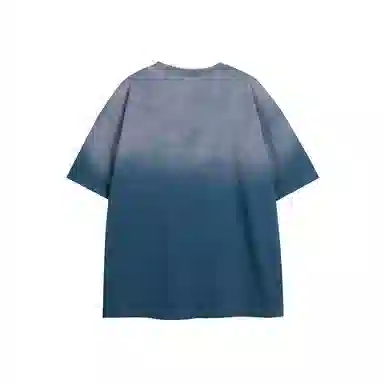 PINSCIO ZENIE T