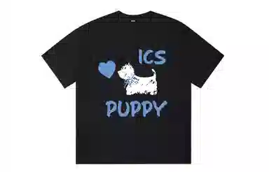 ICONS Lab ICS T