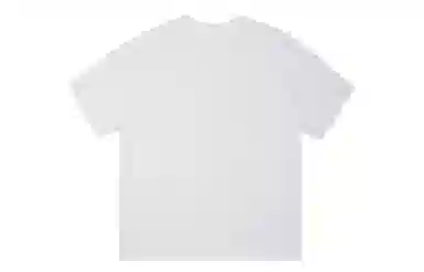 ICONS Lab ICS T