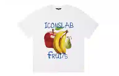 ICONS Lab ICS T