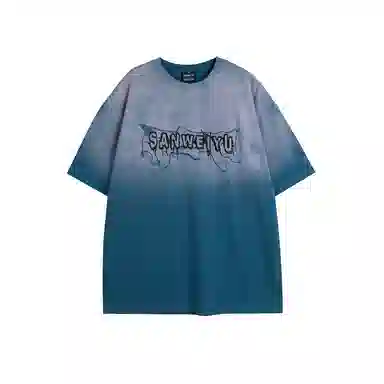 PINSCIO ZENIE T