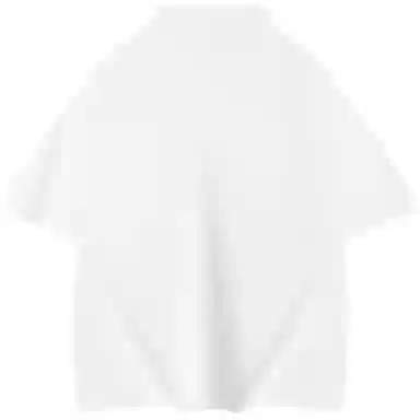 Picca LOGOPolo