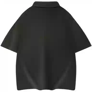 Picca LOGOPolo