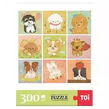 TOI diy 300pcs 23864