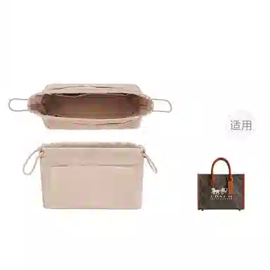 CoachAce26tote35