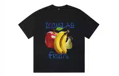 ICONS Lab ICS T