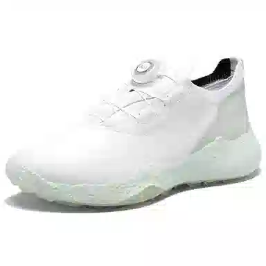 ecco GOLF BIOM H5