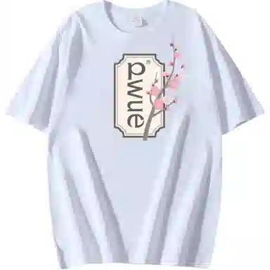PWUE T