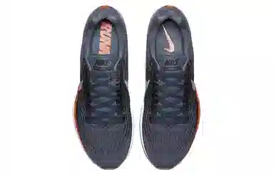 Nike Pegasus 34 Air Zoom