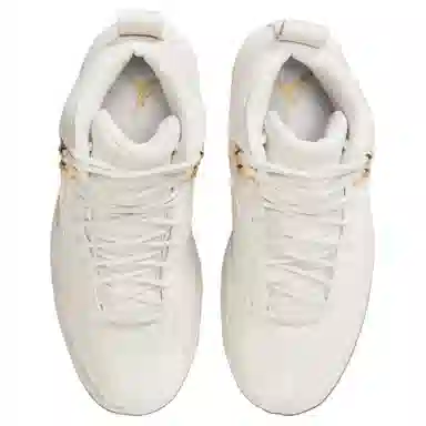 Jordan Air Jordan 12 Phantom