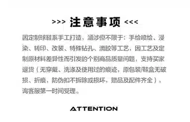 Jordan Air Jordan 1 FZBB GS