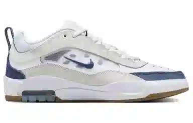 Nike SB Air Max Ishod Aquarius Blue