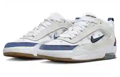 Nike SB Air Max Ishod Aquarius Blue