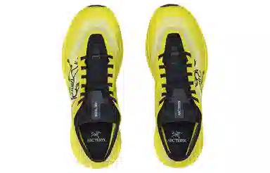 Arcteryx SYLAN PRO