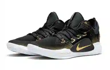 Nike Hyperdunk X Low Black Gold
